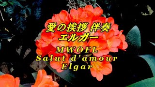 Download lagu 愛の挨拶伴奏 エルガー MWOFL Salut d'amour Elgar mp3 Download lagu 愛の挨拶伴奏 エルガー MWOFL Salut d'amour Elgar mp3