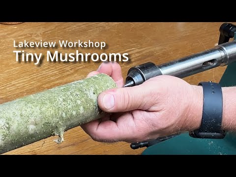 Turning Tiny Mushrooms - Woodturning: The Beginning