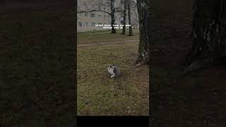 Download lagu Story WA keren 🔥 #Percentense #YtShorts #Trending mp3