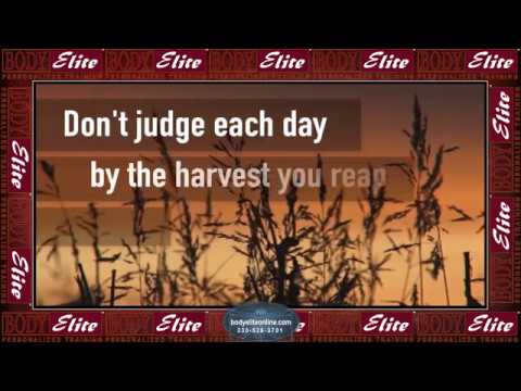 Plant the Seeds of Success! (mini-inspiration video)