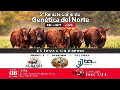 5° REMATE CONJUNTO GENÉTICA DEL NORTE  - CHACO