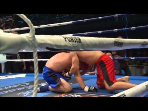 Taylor harvey mma 2011