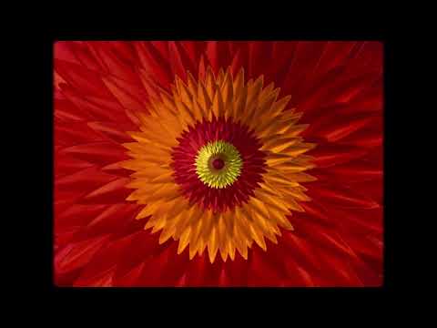 Video thumbnail for San Diego Doorways