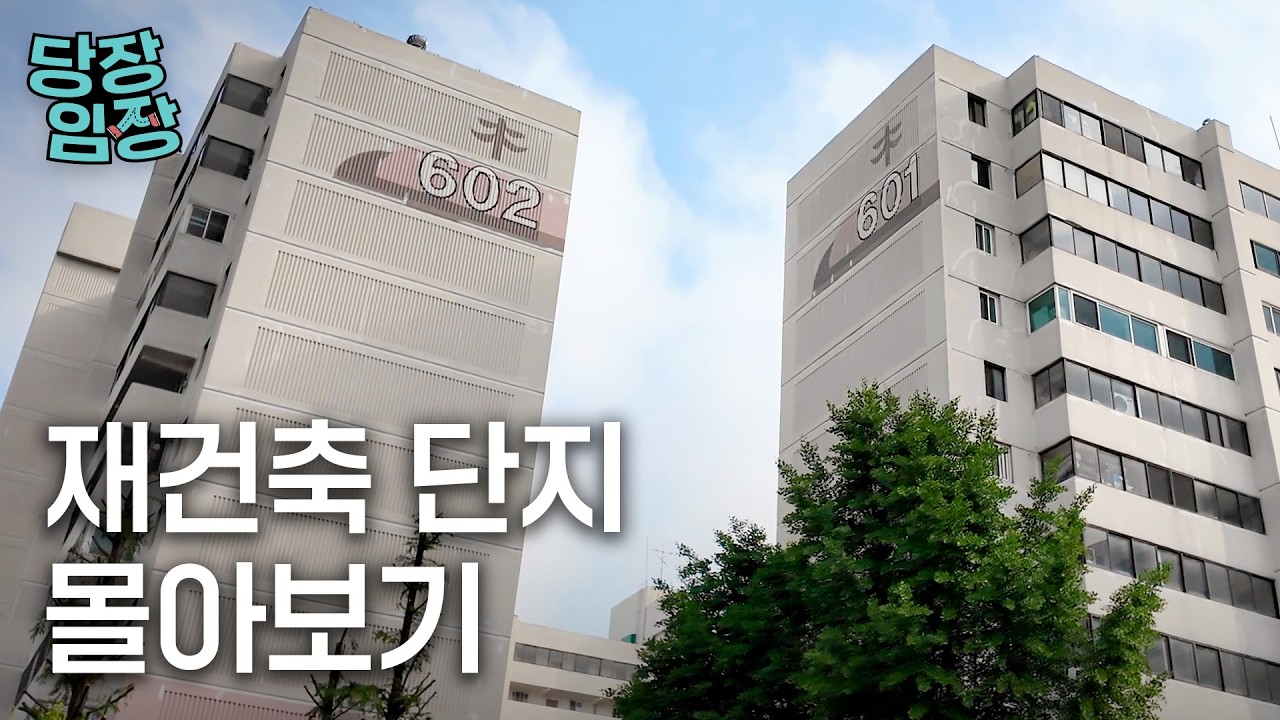 언젠가 새 아파트로 바뀔 곳들 | 당장! 임장 몰아보기