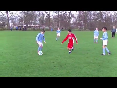 Samenvatting 1e helft Hermes DVS D2  - GLZ Delfshaven D2