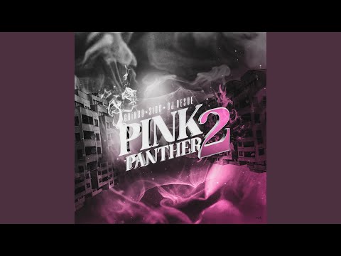 Pink Panther 2