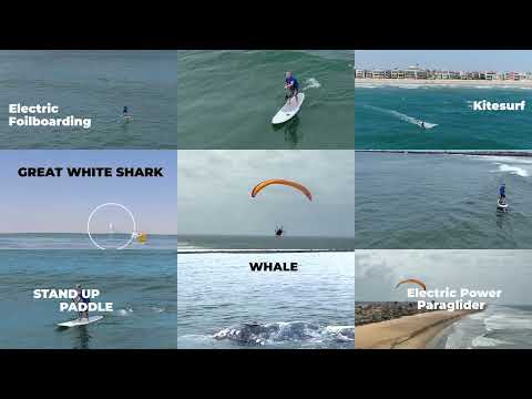 Dave Chamberlain: Action Sport Video (Surfside, CA)