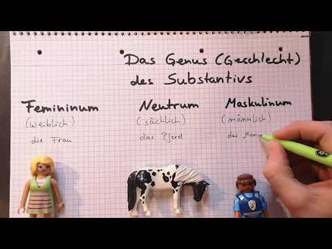 Das Genus des Substantivs