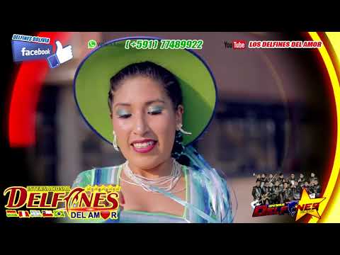 LOS DELFINES DEL AMOR - MIX LOS MAS SONADOS 2020 SALAY