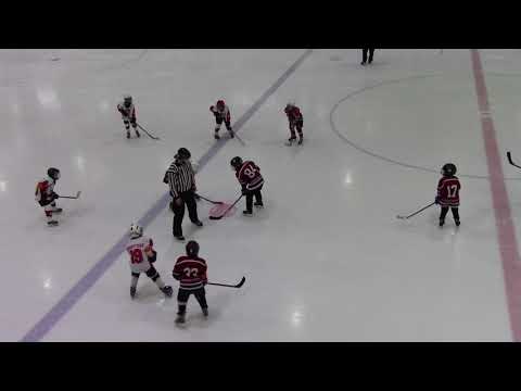 HC Vipers F WHITE – HC Everest F  1:3 (1:1 ; 0:2)  28.01.2018