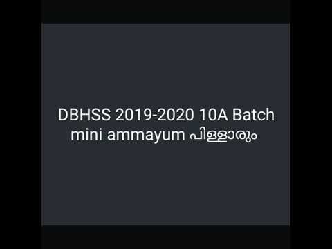 Dbhss thiruvalla 2019-2020 10A batch miniammayum pillarum