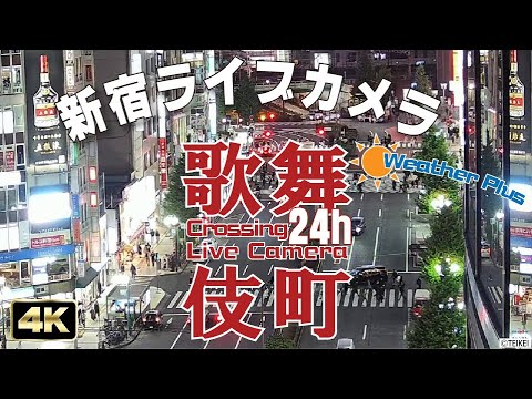 Tokyo Shinjuku Kabukicho Live Camera 東京 新宿 歌舞伎町 交差点 ライブカメラ