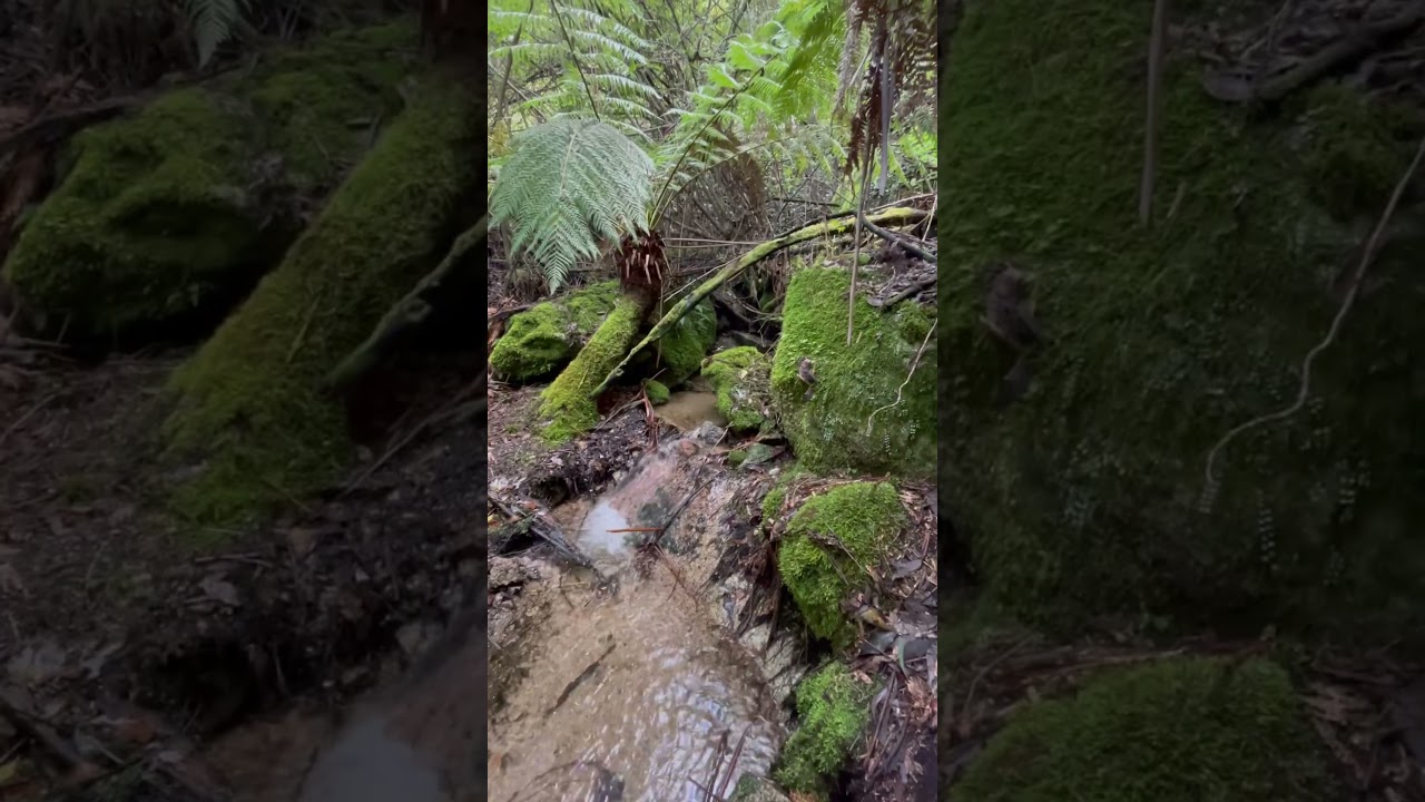 YouTube Short thumbnail