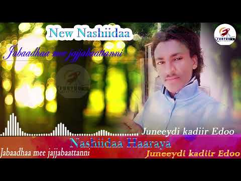 Jabaadhaa mee jajjabaattani Nashiidaa Haaraya Juneeydii kadiir Edoo