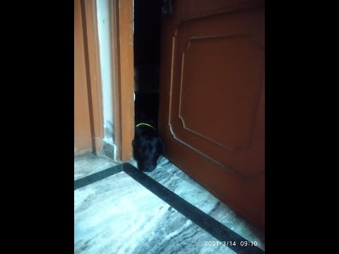 special bond sharing with him only