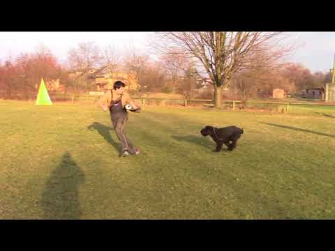 Rey Dlouhý dům - protection training - 12/2017