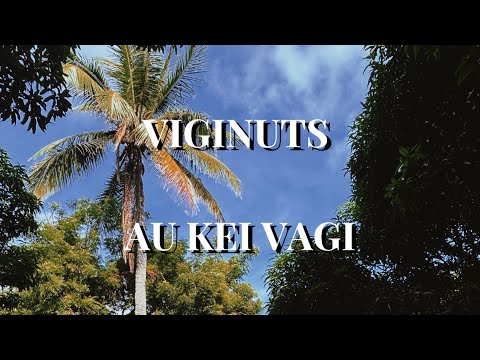 Viginuts - Au Kei Vagi