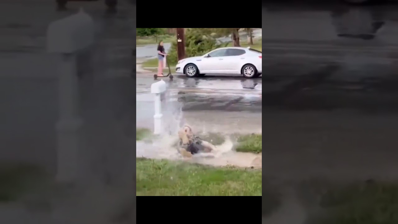 #funny #2024 #memes #gracioso