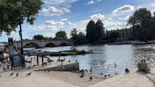 Walking in Richmond, London 🇬🇧 | Beautiful Sunny Day | 4K