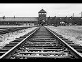 Die Geschichte von Auschwitz  Doku Deutsch