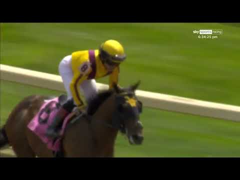 🚀 What a debut! Lady Aurelia's first foal AMERICAN RASCAL demolishes rivals!