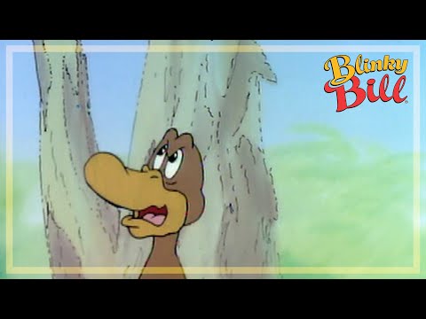 BLINKY AND THE FILM STAR - Episode 16 - The Adventures of Blinky Bill