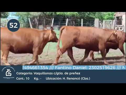 Lote VQ CGP - Huinca Renancó Cordoba