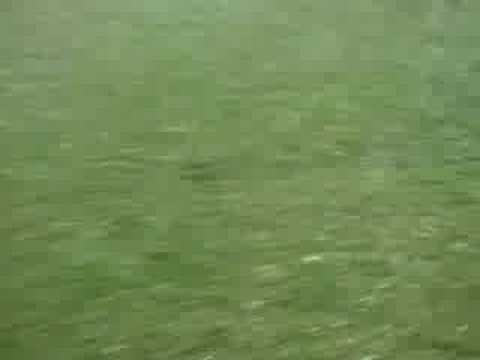 Burza Pabianice 14.06.2007