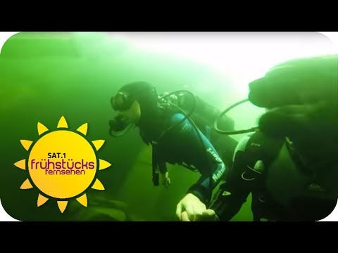 DAS sind die HOTSPOTS in MÜNSTER | SAT.1 Frühstücksfernsehen | TV