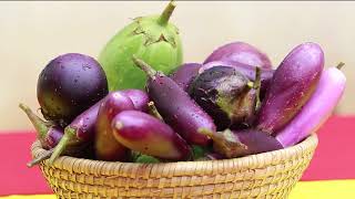 বারি বিটি বেগুন (উত্তর অঞ্চল)