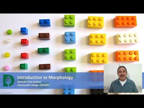 Introduction to Morphology (IntroLing 2020F.W04.01)