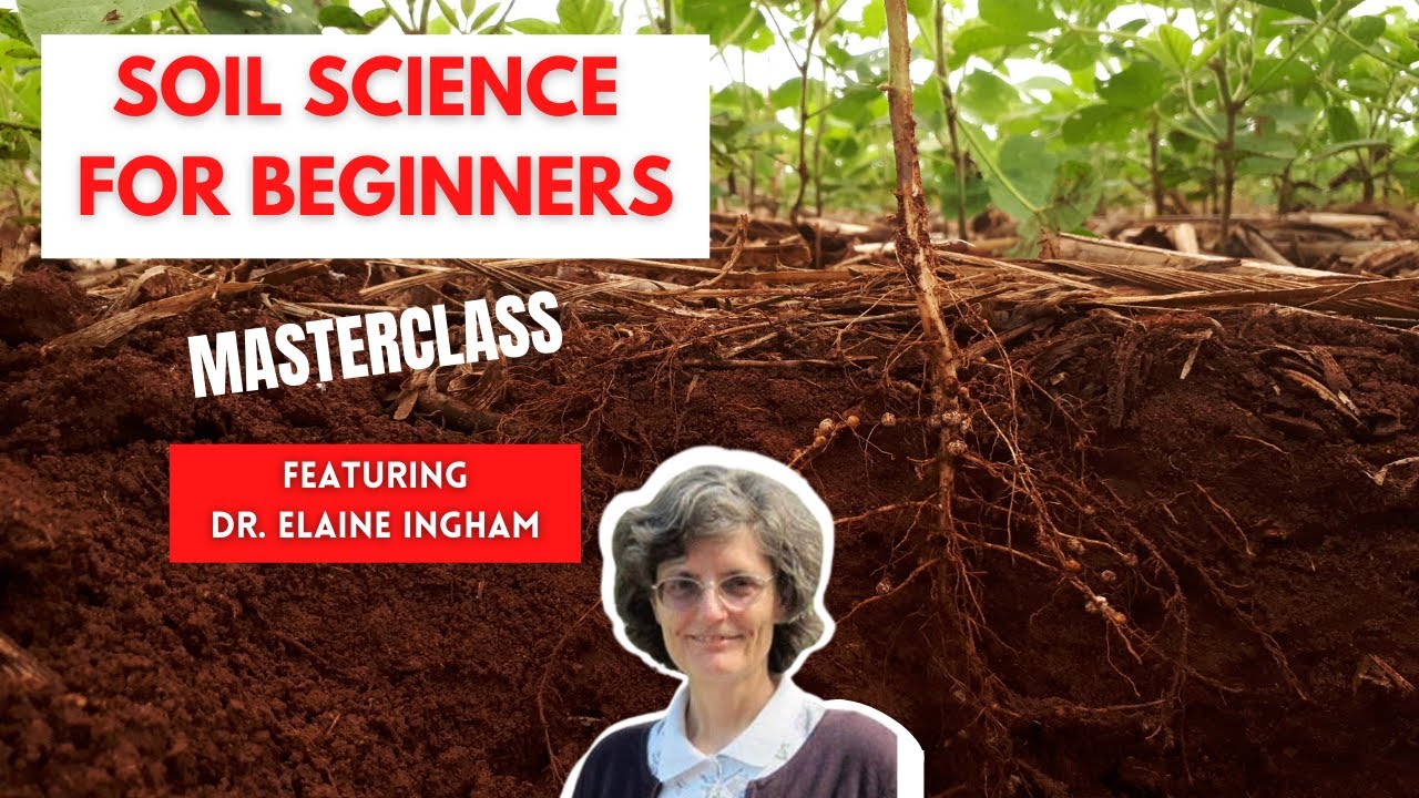 How to Build Great Soil - A Soil Science Masterclass with Dr. Elaine Ingham (Part 1 of 4)