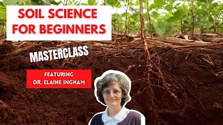 How to Build Great Soil - A Soil Science Masterclass with Dr. Elaine Ingham (Part 1 of 4)