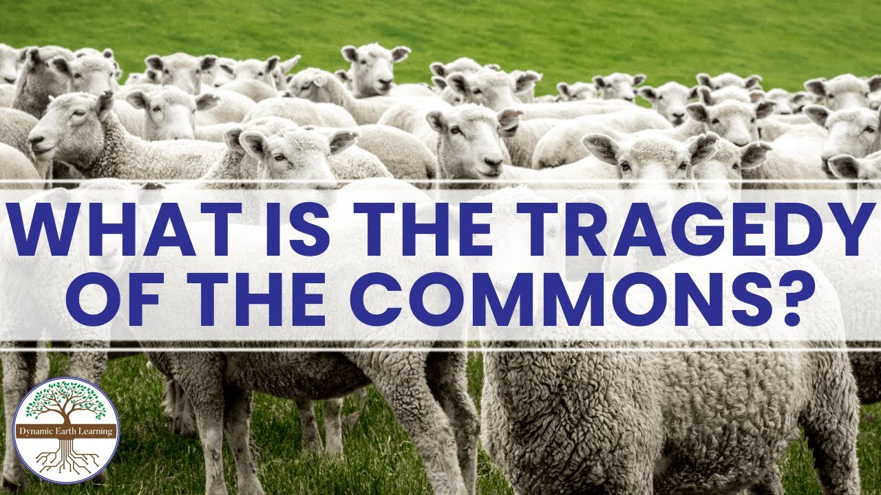 WHAT IS THE TRAGEDY OF THE COMMONS? Dynamic Earth Learning