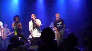 CEA live été 2007
