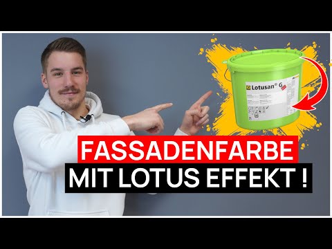 Die BESTE FASSADENFARBE mit LOTUS EFFEKT + SCHUTZ VOR ALGEN und PILZEN - Lotusan G