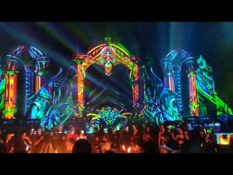 Piazer Live at  TerraTronic  - Rio De janeiro 2022