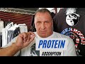 Milos's Frame Of Mind: PROTEIN ABSORPTION