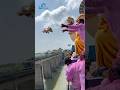 Ganesh Visarjan Ganpati Ganeshnimajjanam Ganpatibappamorya Ganpati Ganesh