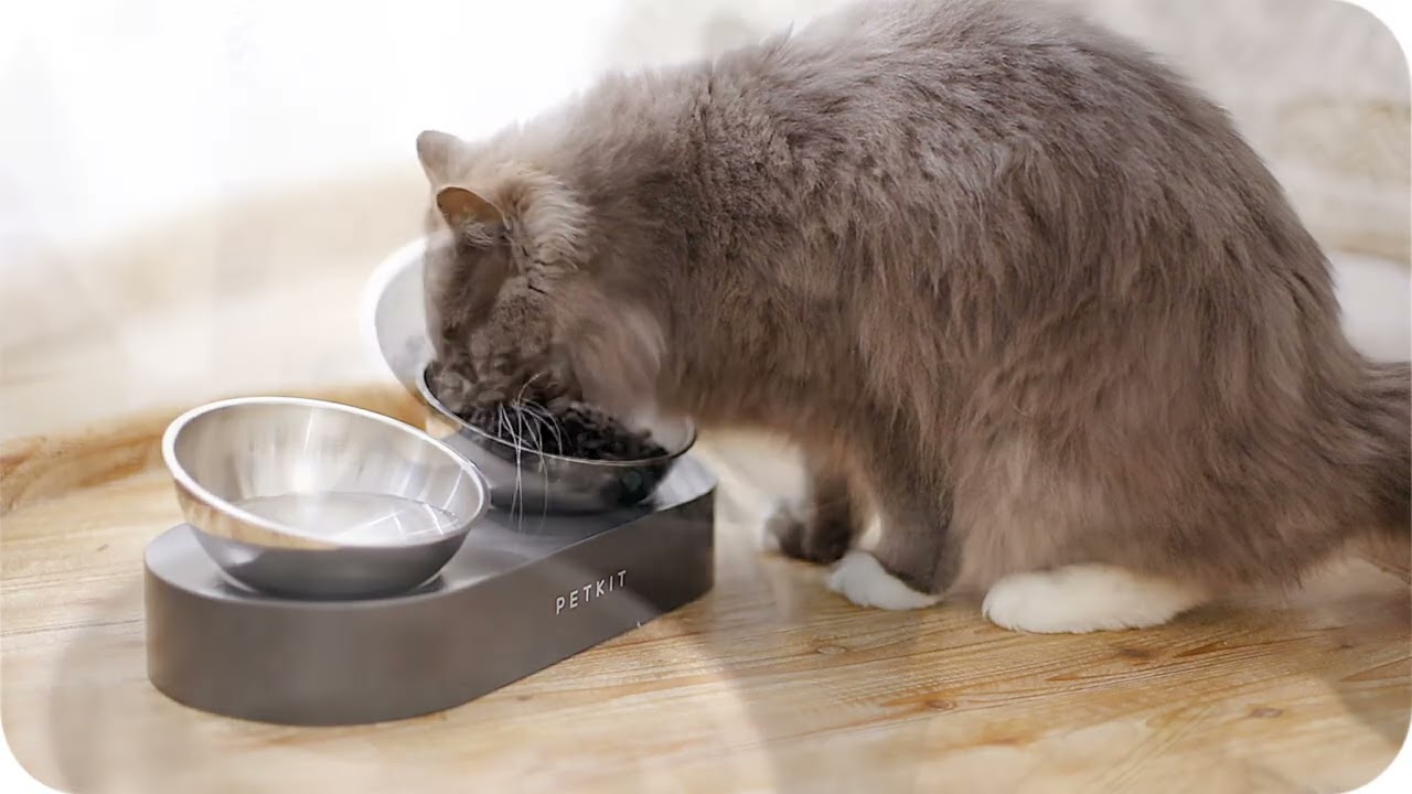 Кормушка PETKIT FRESH NANO-METAL Pet/Cat TWO Bowl Stand video preview