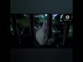 I Put Spongebob S Best Day Ever Over Stuart Little Part 19 Roadster Chase Scene HD