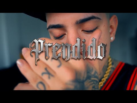ECKO - Prendido (Freestyle) (Visualizer Oficial)