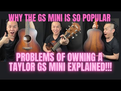 Problems With Owning a GS MINI that Taylor Guitars Won’t Tell YOU !!!