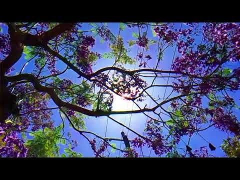 Nonsemble - Inheritance (Talk Talk Cover)