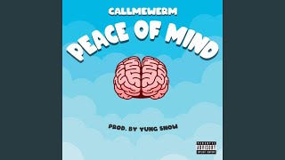 Peace of Mind Music Video