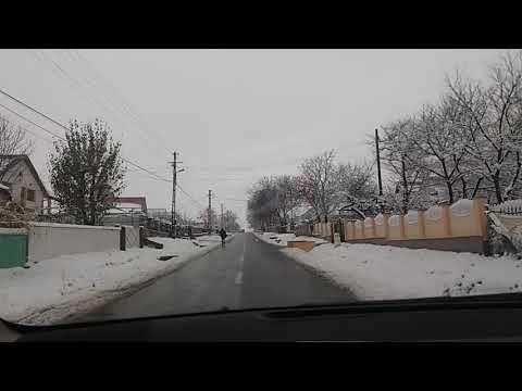 Mesteacan 03.12.2017