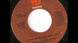 Gotta Lot Of Love In My Soul  -  Hoodoo Rhythm Devils