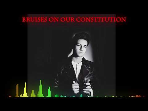 Bruises On Our Constitution - Ty Desharnais (audio)