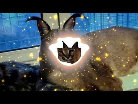 Swagger Stagger - (Audio Visualiser) | The Floppa Visualiser