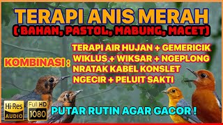 Download lagu 🔴 TERAPI ANIS MERAH DONGKRAK BIRAHI & EMOSI [UNTUK TROTOL, PASTOL, PASCA MABUNG & ANIS MERAH MACET] mp3
